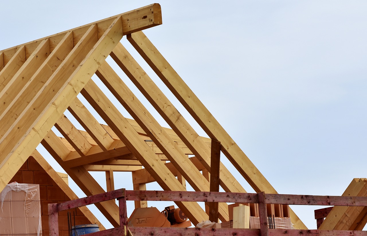 Consigli per l'Isolamento Termico della Casa in Legno